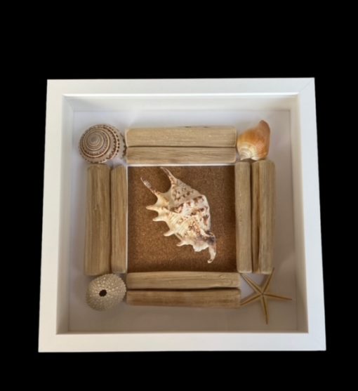 Cadre décoratif coquillages