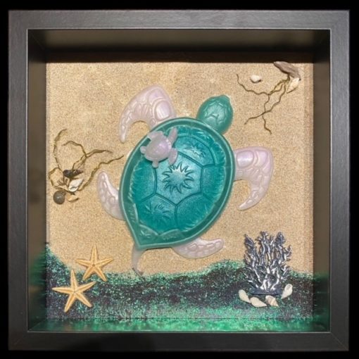 Cadre 3D Tortue